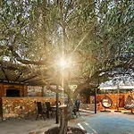 Amazing In Holiday home Postira